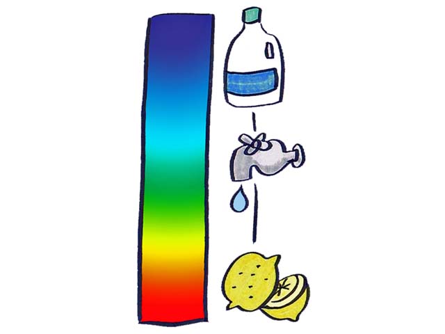 リトマス試験紙