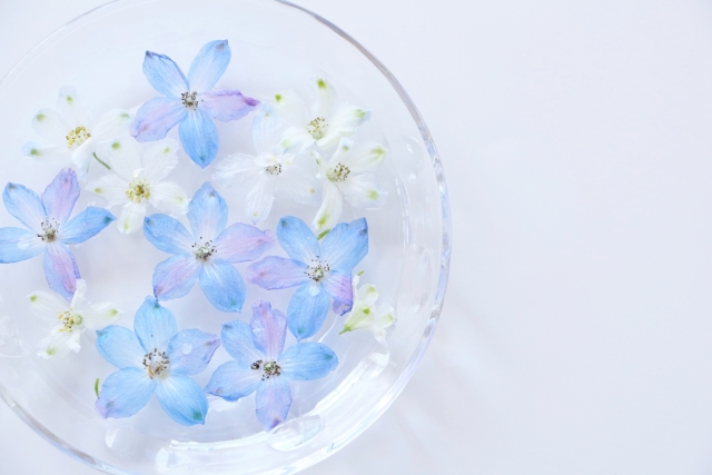 水に浮かべた青い花